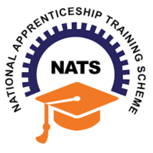 NATS Logo